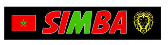 PLAQUE LUMINEUSE SIMBA