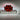 Fond de cabine lumineux RAMMSTEIN – Ambiance métal pour camion | Stick Olivier - Stick Olivier