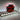 Fond de cabine lumineux RAMMSTEIN – Ambiance métal pour camion | Stick Olivier - Stick Olivier