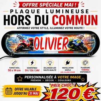 Plaque Lumineuse Camion L’Excellence – Enseigne Personnalisée Hors du Commun
