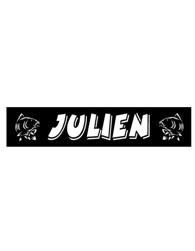 PLAQUE LUMINEUSE  julien