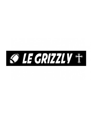 Plaque lumineuse le grizzly