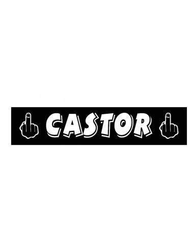 PLAQUE LUMINEUSE CASTOR