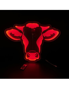Personnalisé Plaque Pour Man Camion Fans LED Rouge Fluo Intétieur