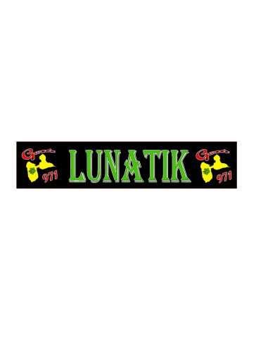 PLAQUE LUMINEUSE LUNATIK