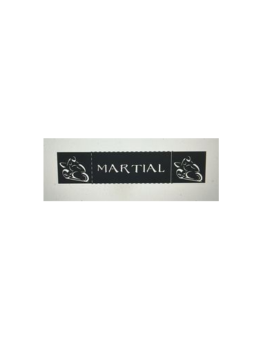 Plaque lumineuse MARTIAL