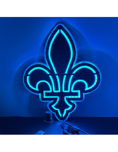 LOGO lumineux Fleur de lys du Québec