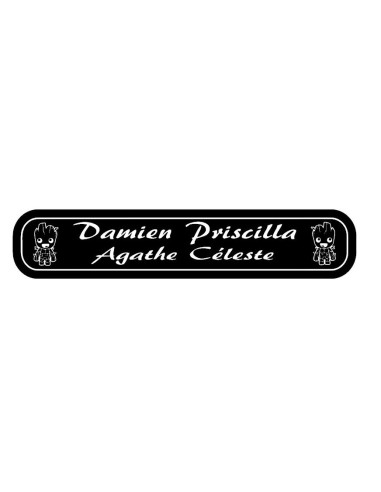 Plaque lumineuse camion DAMIEN