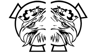 Stickers RC - Scania