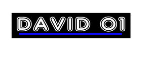 Plaque lumineuse DAVID 01