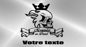 Enseigne lumineuse miroir SCANIA dead