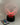 Socle lumineux V8 scania