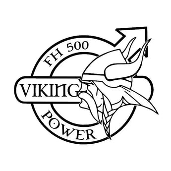 Stickers Viking Vercingétorix G