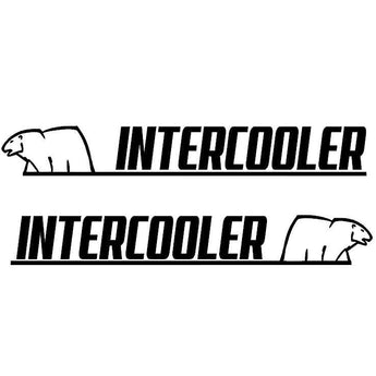 Décors de fenêtre INTERCOOLER ours - Stick Olivier