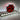 Fond de cabine lumineux RAMMSTEIN – Ambiance métal pour camion | Stick Olivier - Stick Olivier