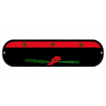 Plaque Lumineuse Camion Drapeau Maroc | LED 12V 24V USB | 50x14 cm