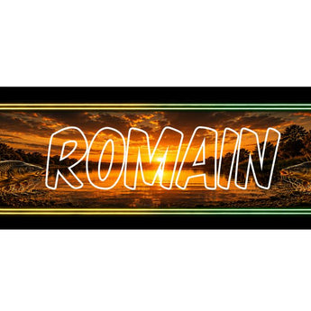 PLAQUE LUMINEUSE CAMION PECHEUR
