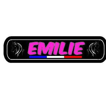 plaque lumineuse EMILIE