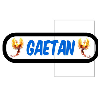 PLAQUE LUMINEUSE GAETAN