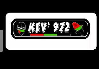 Plaque lumineuse KEV 972 - Stick Olivier