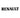 Sticker RENAULT truck bis - Stick Olivier